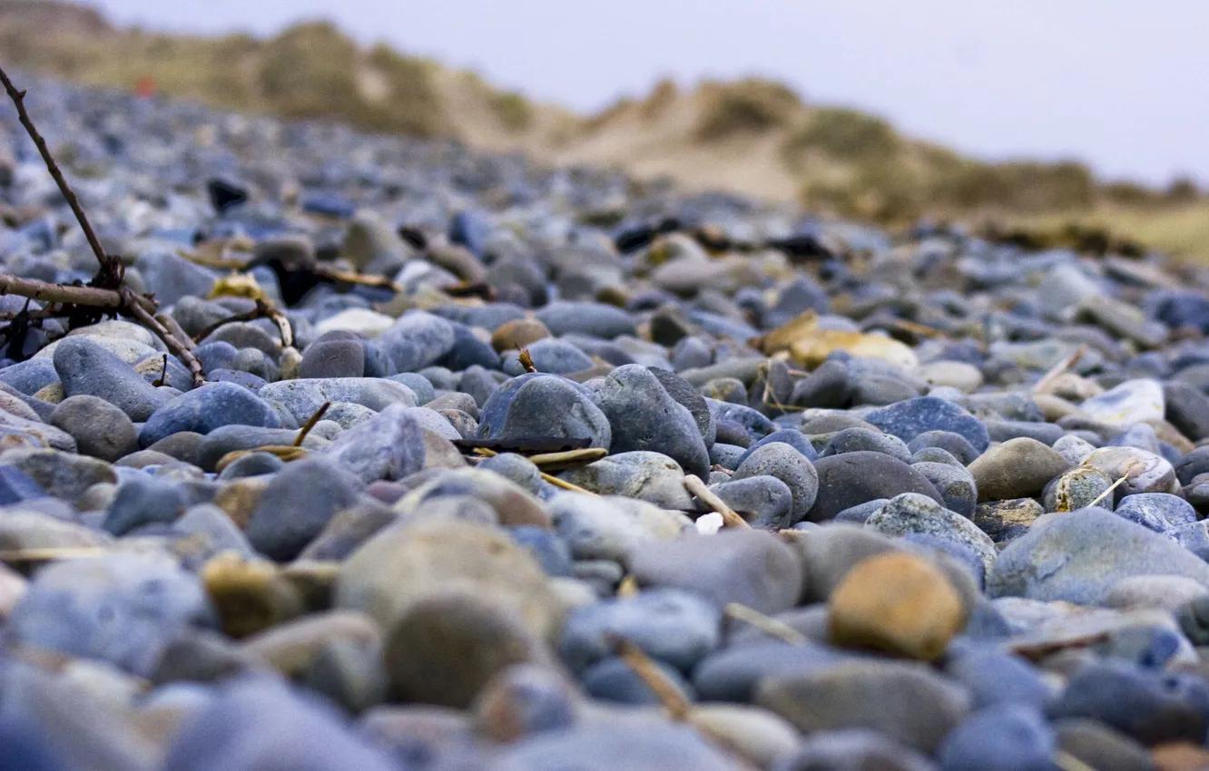 Фото обои ветки, камни, берег, фокус, камушки