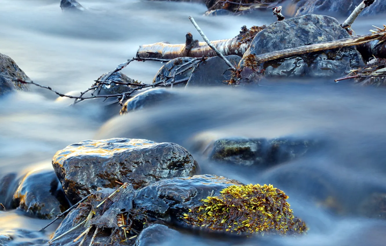 Фото обои вода, макро, камни, поток