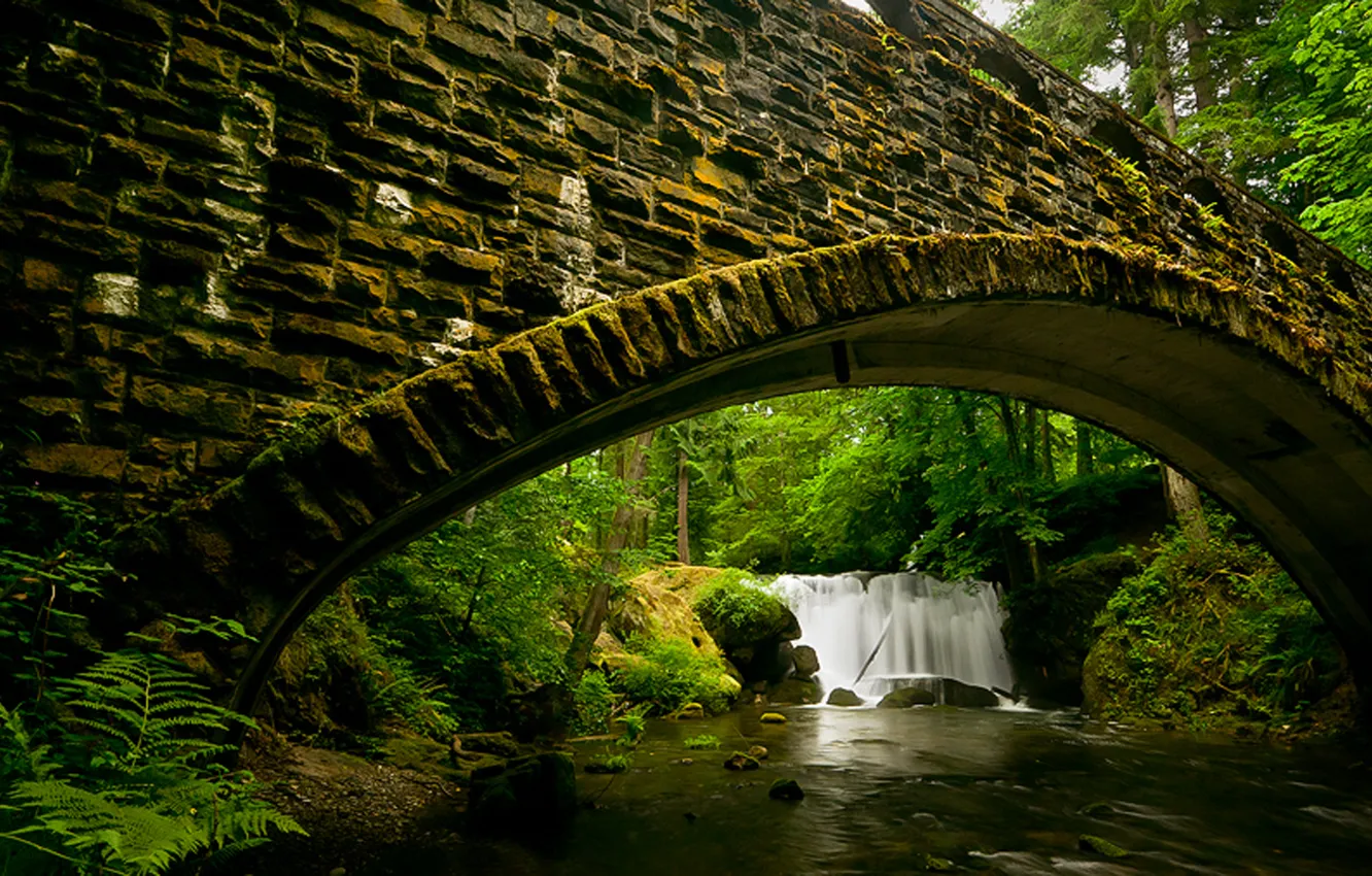 Фото обои лес, вода, мост, камни, водопад