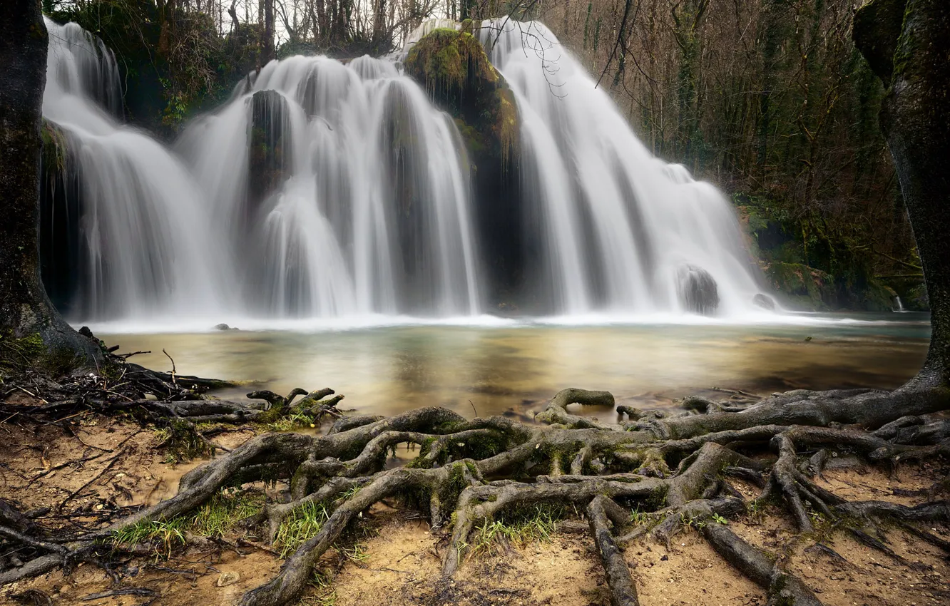 Фото обои корни, река, дерево, водопад