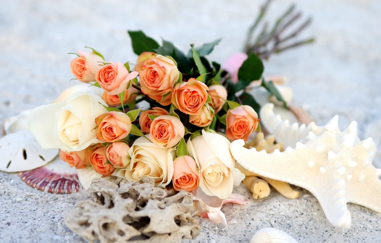 Фото обои розы, букет, морская звезда