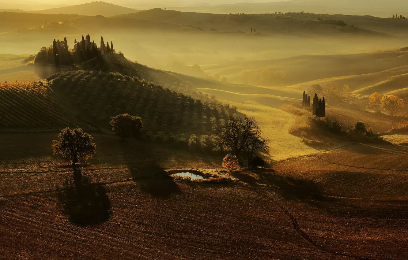 Фото обои Italy, Tuscany, San Quirico d'Orcia