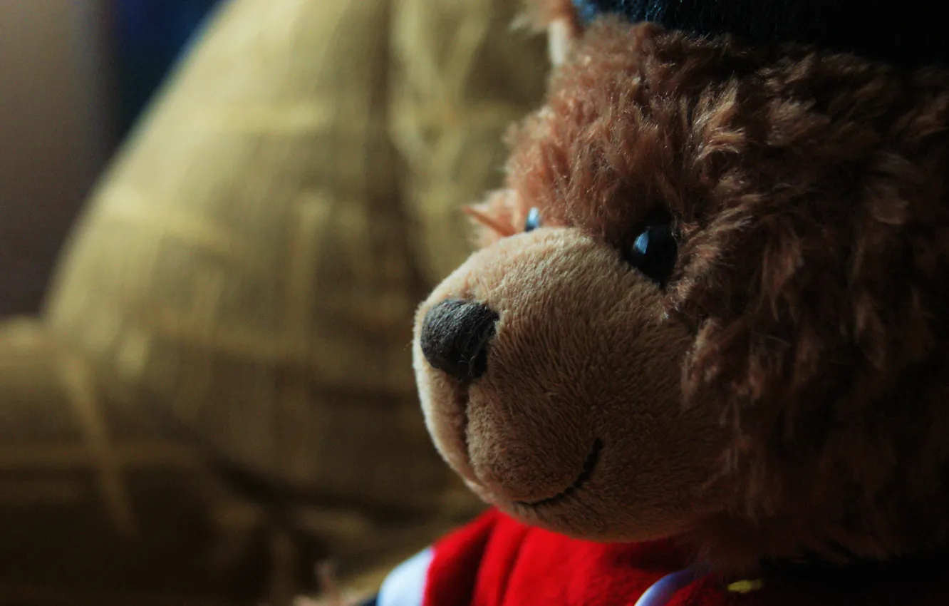 Фото обои дети, обои, игрушка, мишка, bear, child, teddy bear, english