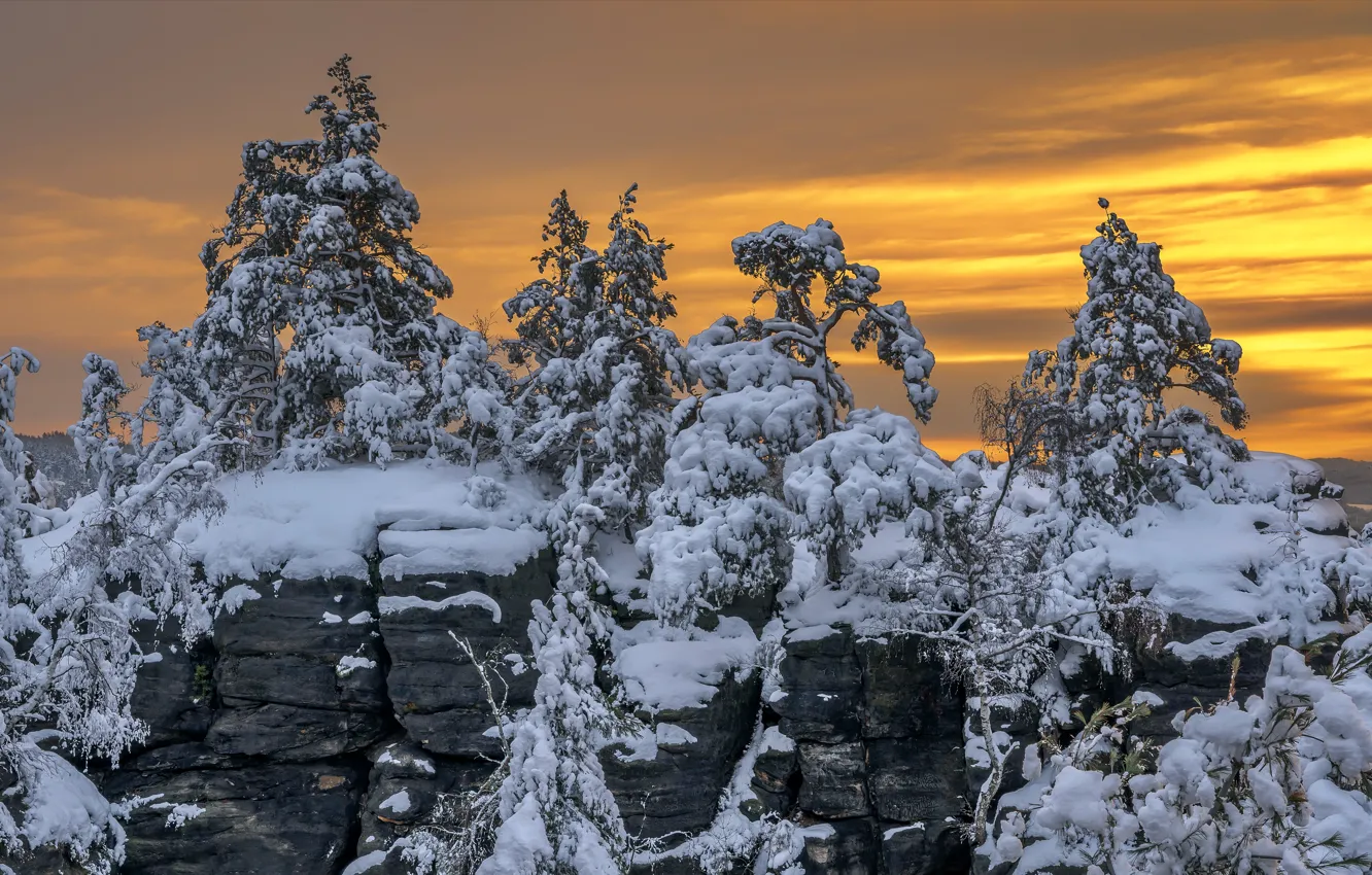 Фото обои зима, лес, снег, закат
