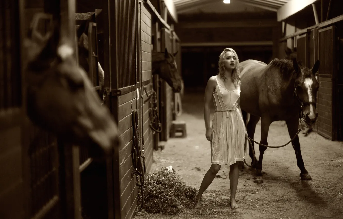 Фото обои лошадь, Девушки, блондинка, girl, arielle kebbel