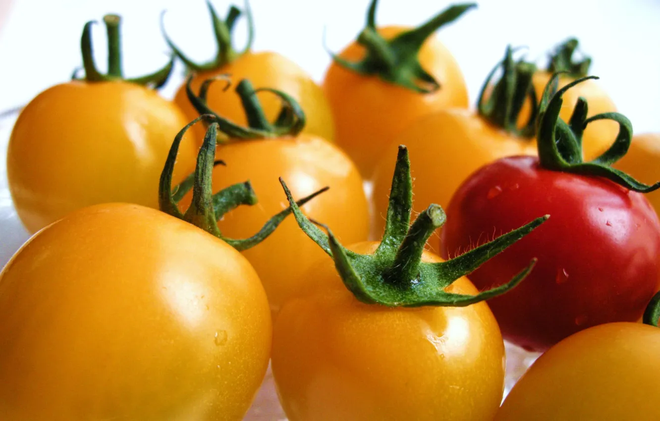Фото обои овощи, томаты, помидорки