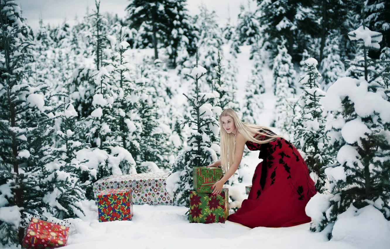Фото обои зима, лес, девушка, подарки