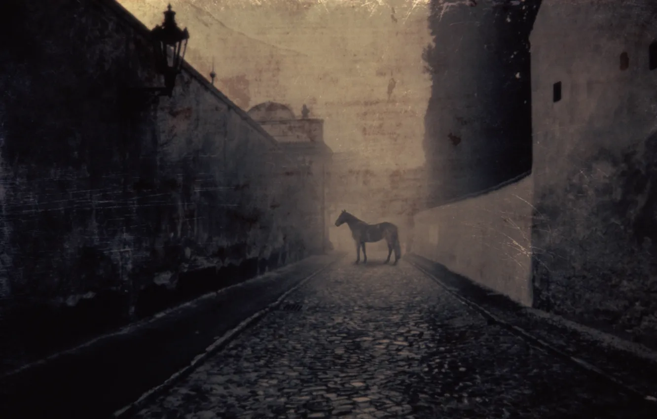 Фото обои улица, лошадь, Horse, фонарь. старина, Cobbled Street