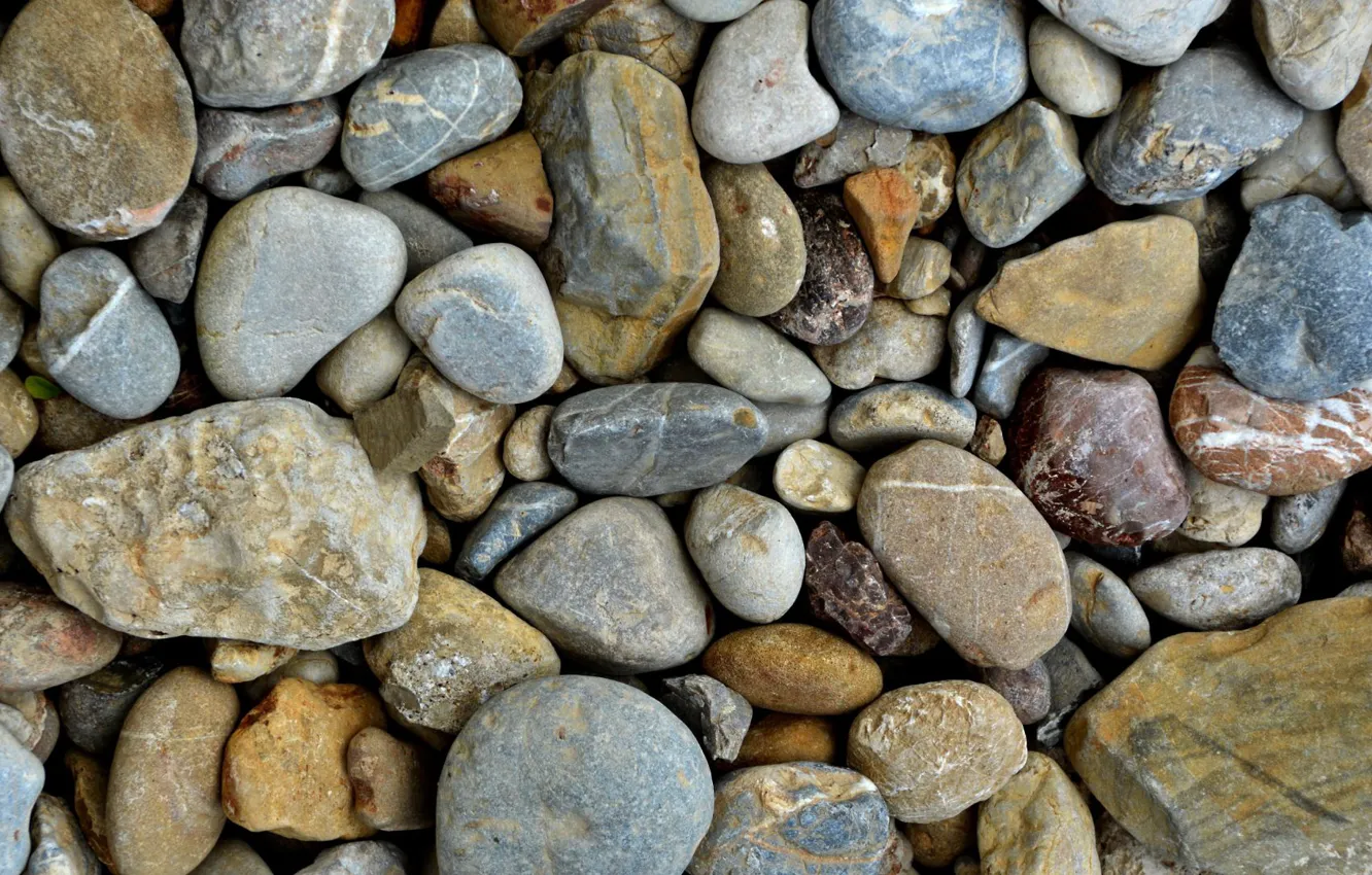 Фото обои галька, камни, много, булыжники