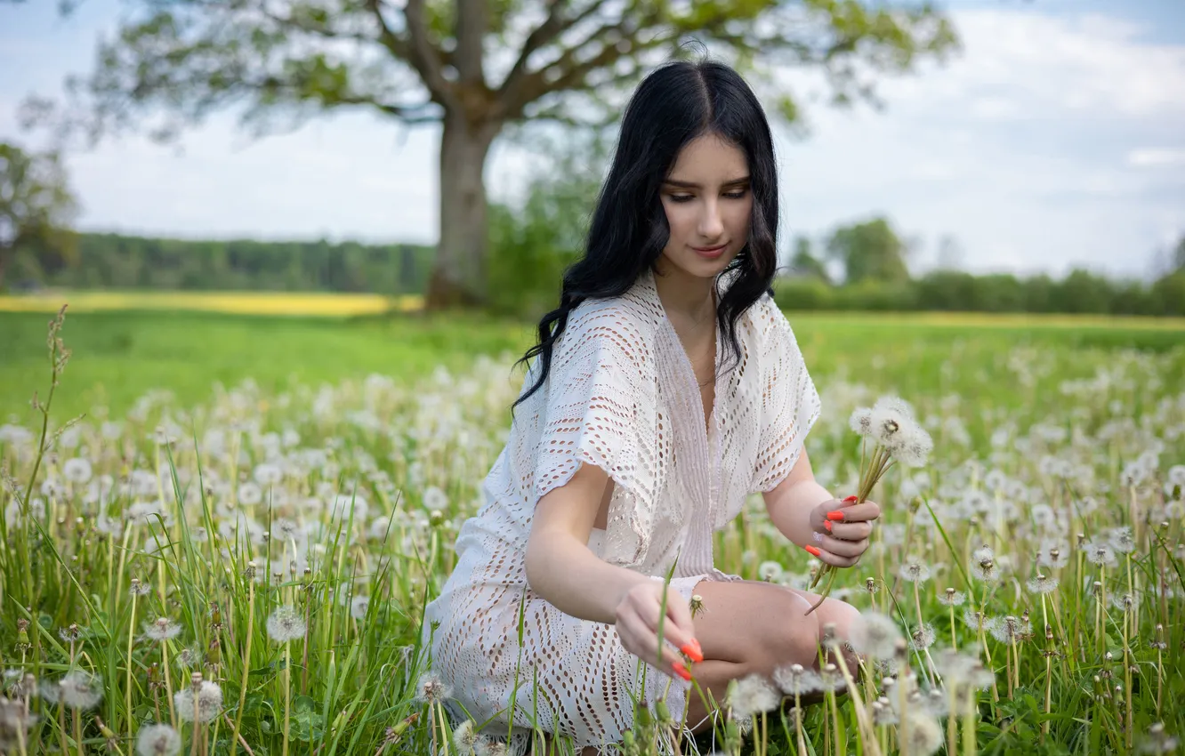 Фото обои field, model, dandelions, brunette, gorgeous, posing, beautiful face, outdoors