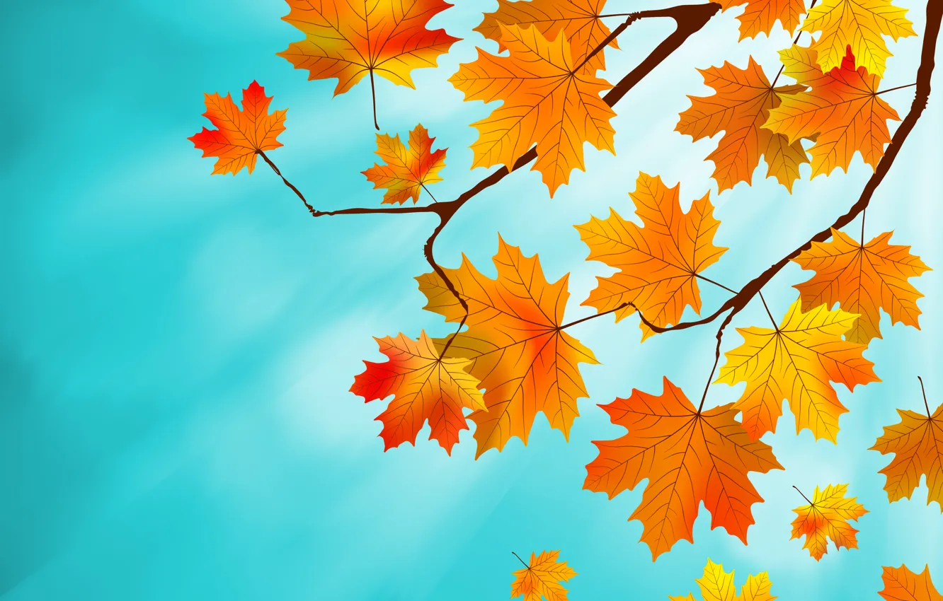 Фото обои листья, фон, autumn, leaves, осенние, maple