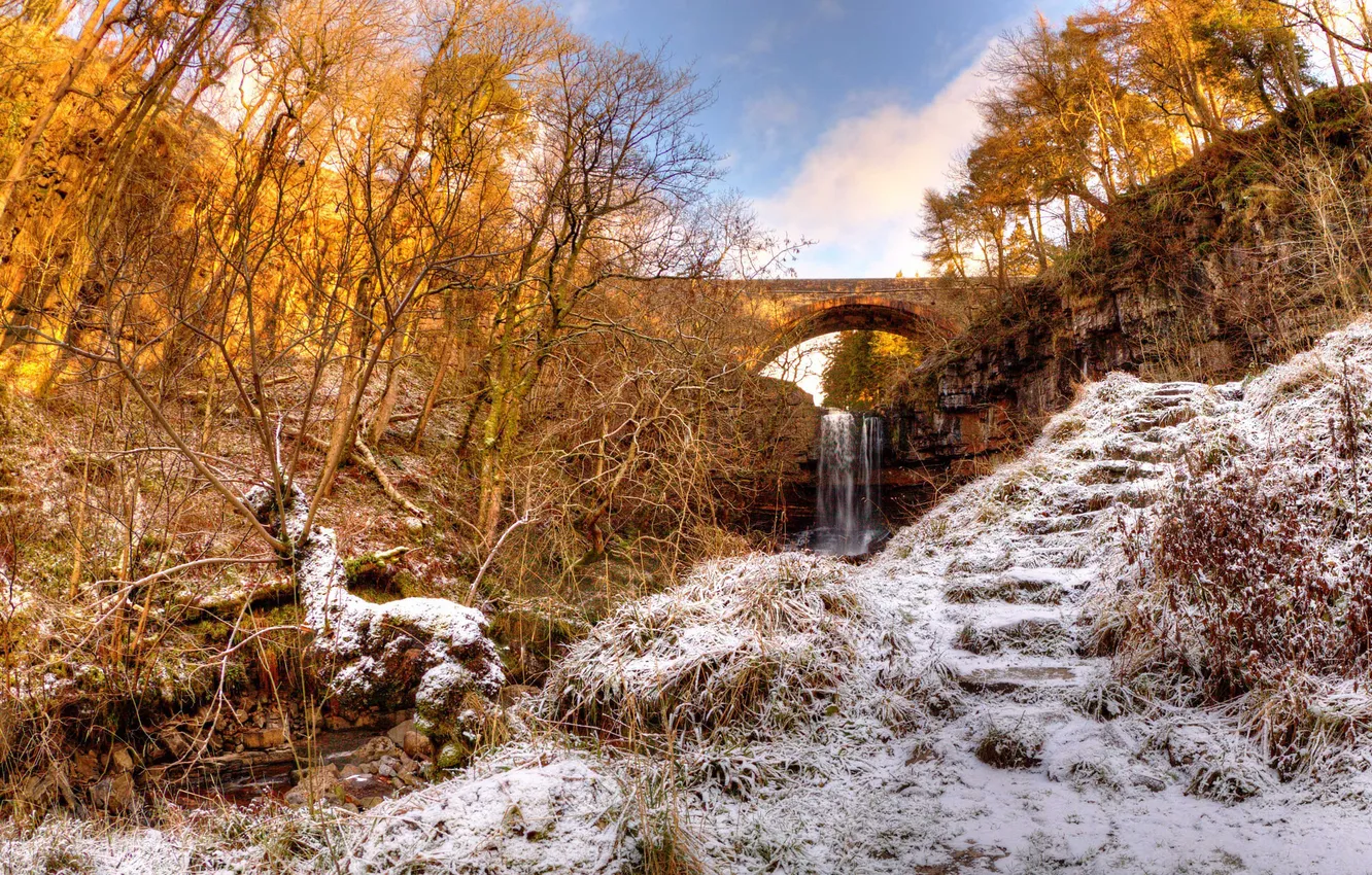 Фото обои зима, деревья, мост, река, ручей, водопад, овраг
