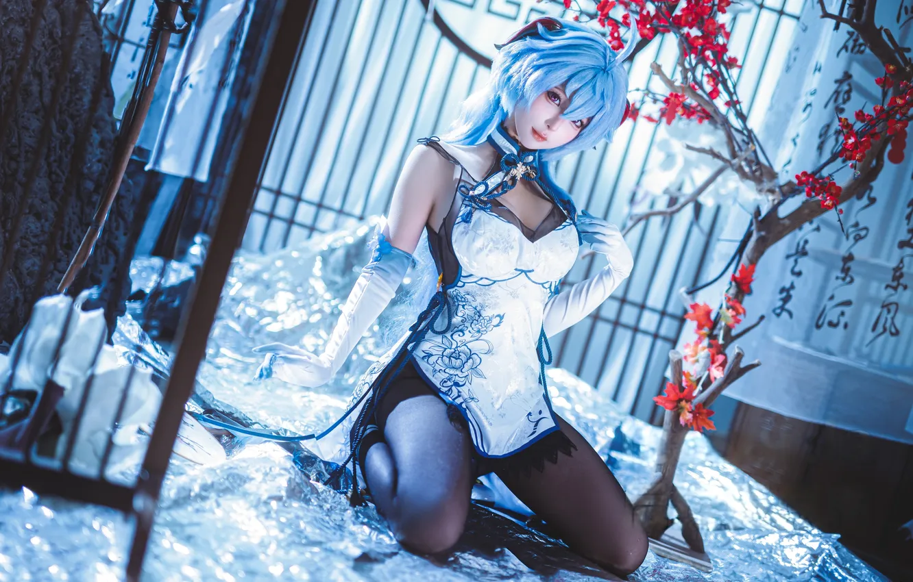 Фото обои Asian, model, women, cosplay, pantyhose, Genshin Impact, Chun Momo, Ganyu (Genshin Impact)