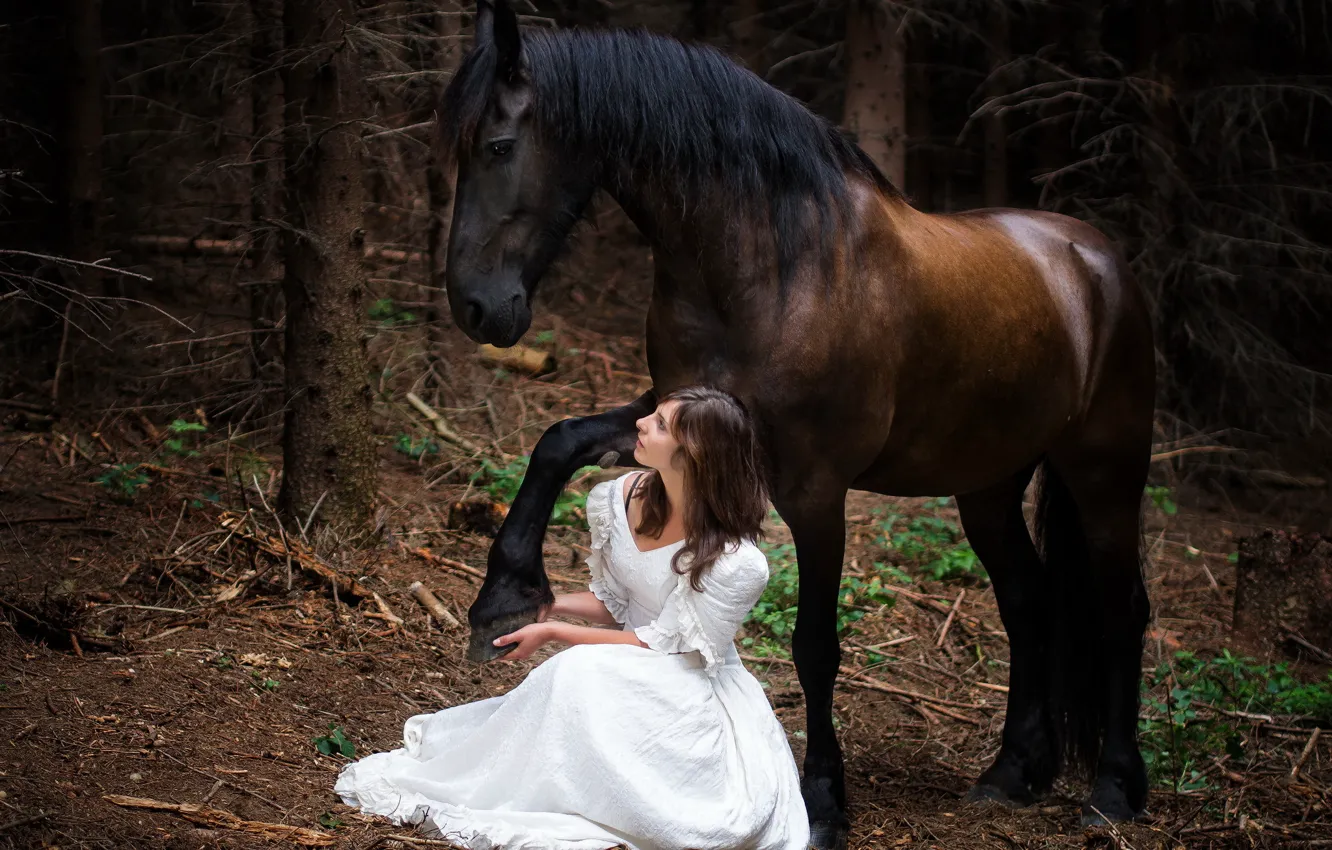 Фото обои девушка, природа, конь