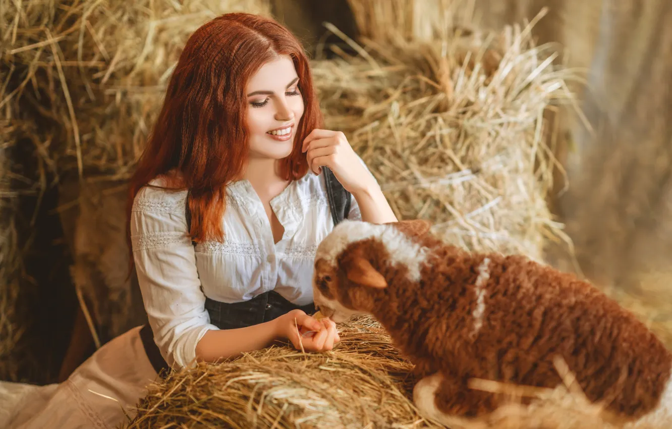 Фото обои девушка, улыбка, сено, рыжая, барашек, рыжеволосая, овечка, ягнёнок
