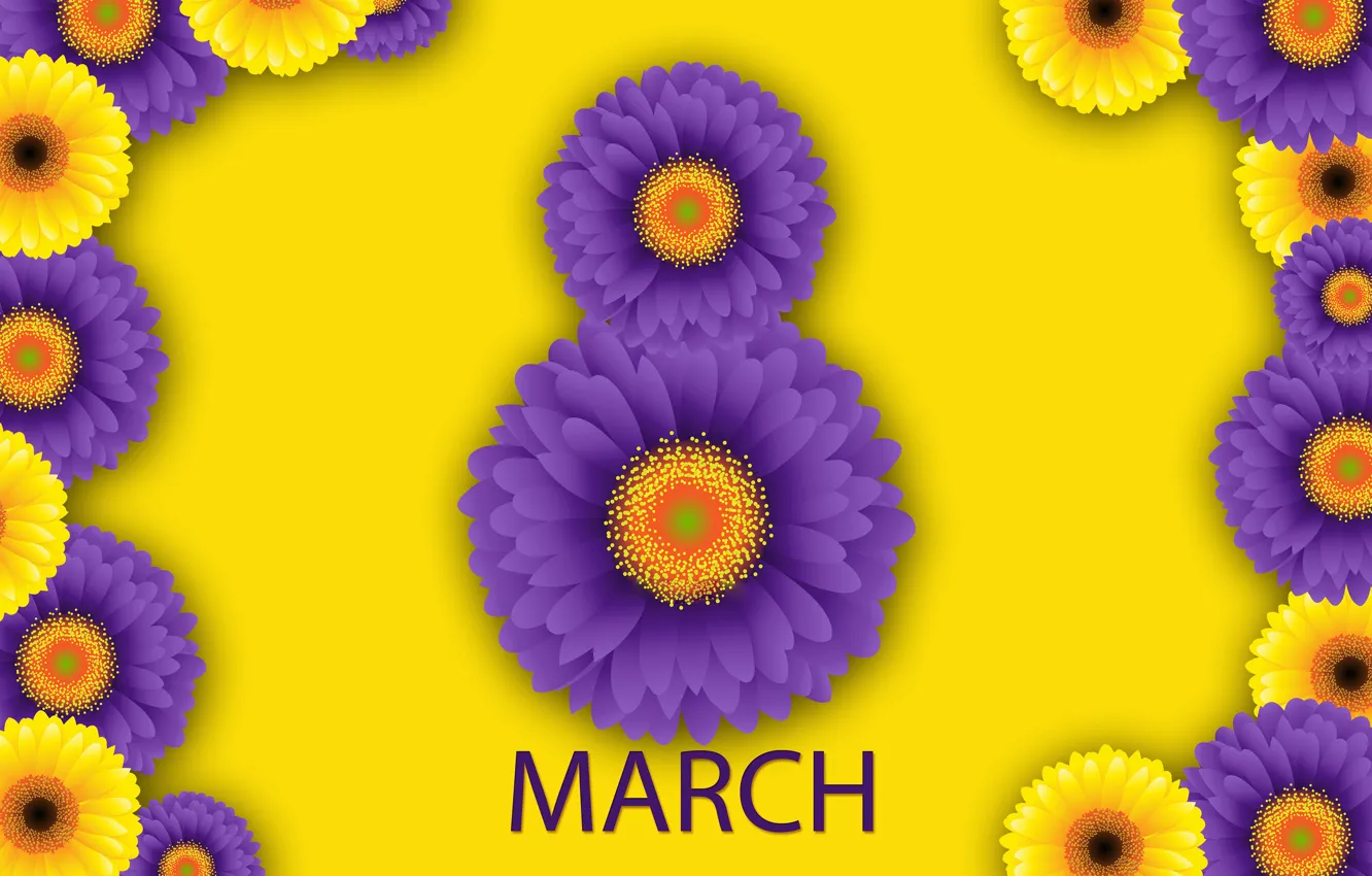 Фото обои цветы, happy, 8 марта, хризантемы, flowers, женский день, women's day
