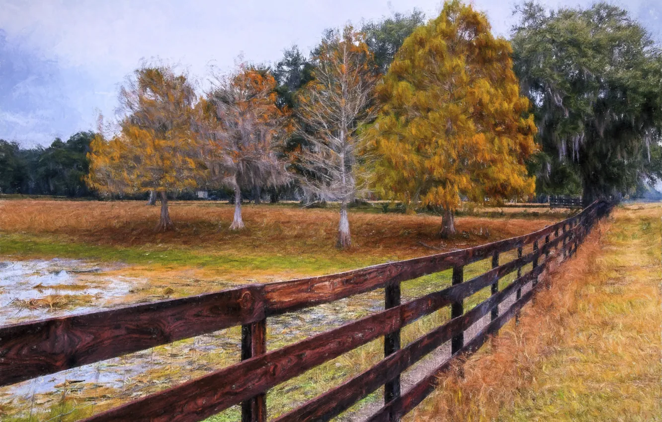 Фото обои осень, природа, картина