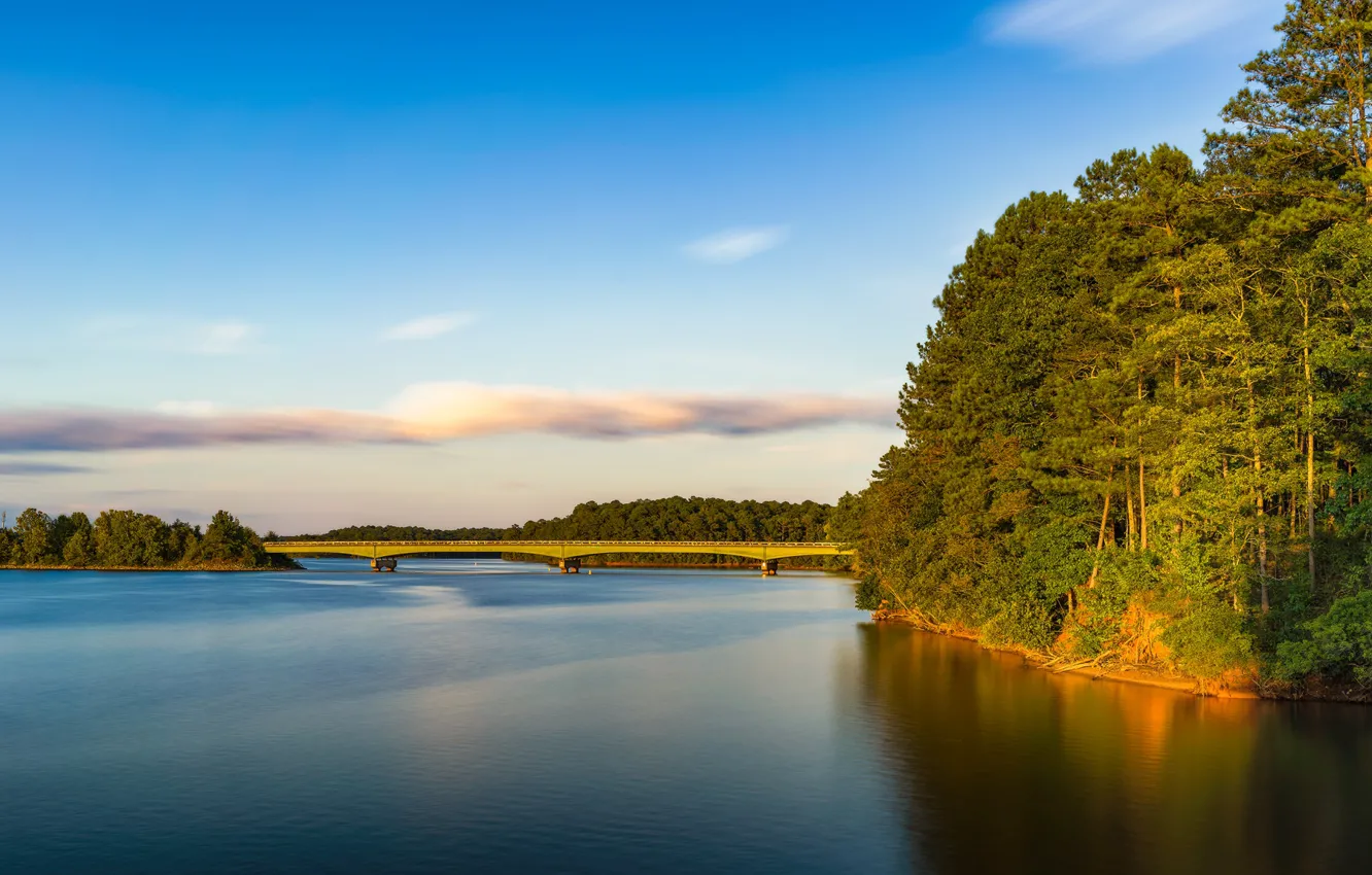 Фото обои лес, мост, озеро, Georgia, Джорджия, West Point Lake, Mooty Bridge