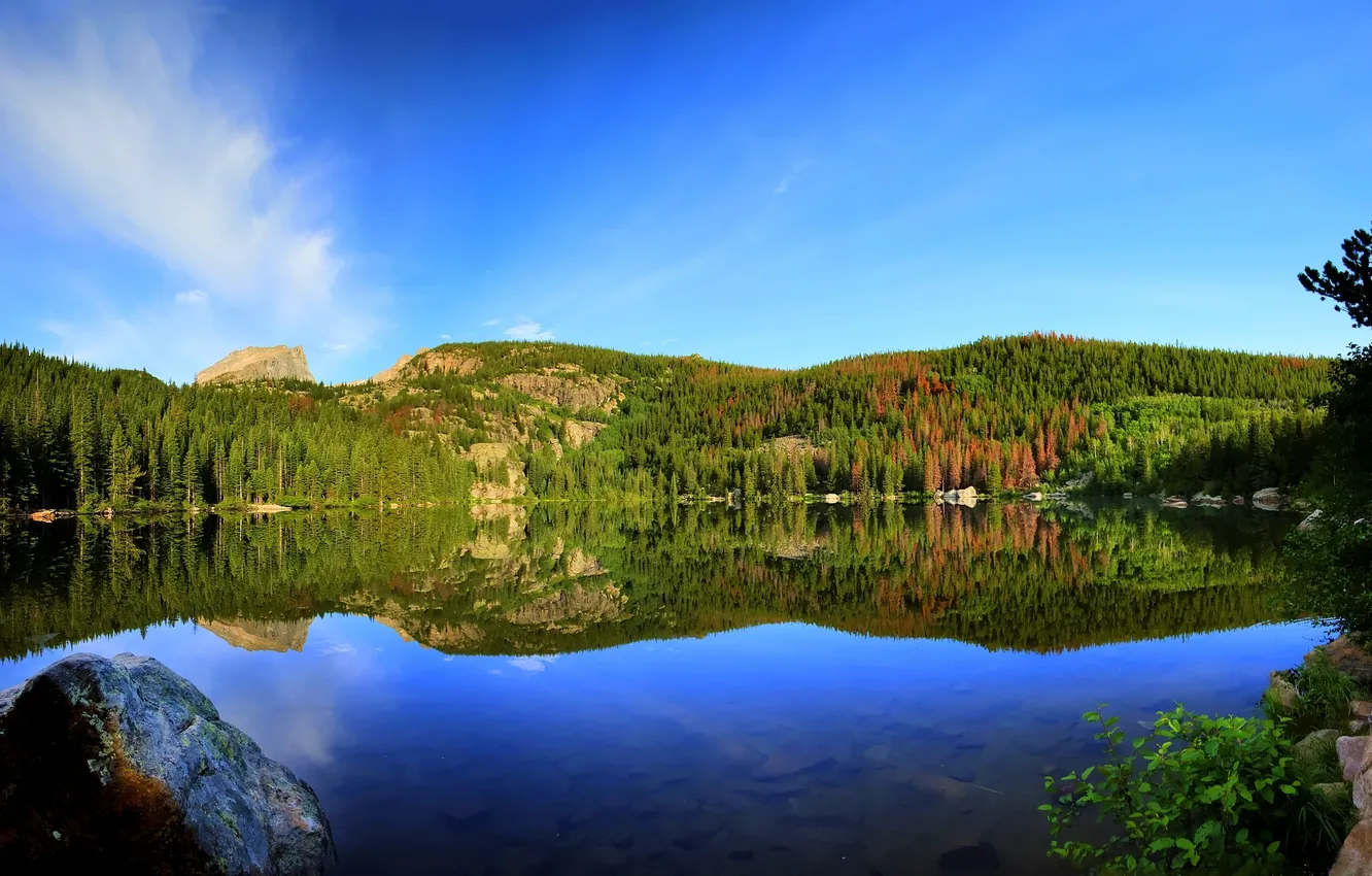 Фото обои лес, природа, озеро, отражение, reflection, Bear lake
