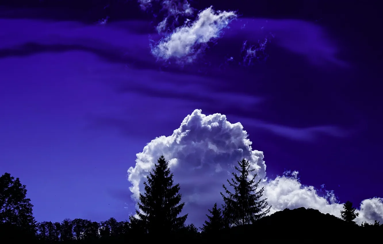 Фото обои облака, деревья, ночь, силуэты, trees, night, clouds, очарование