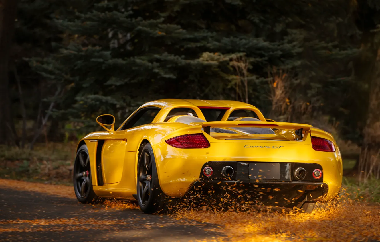 Фото обои Porsche, drive, Porsche Carrera GT, rear view