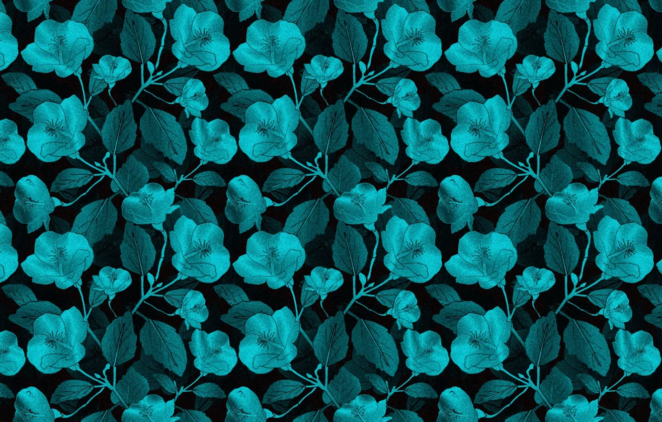 Фото обои цветы, фон, черный, текстура, background, Берюзовый, scrapbooking