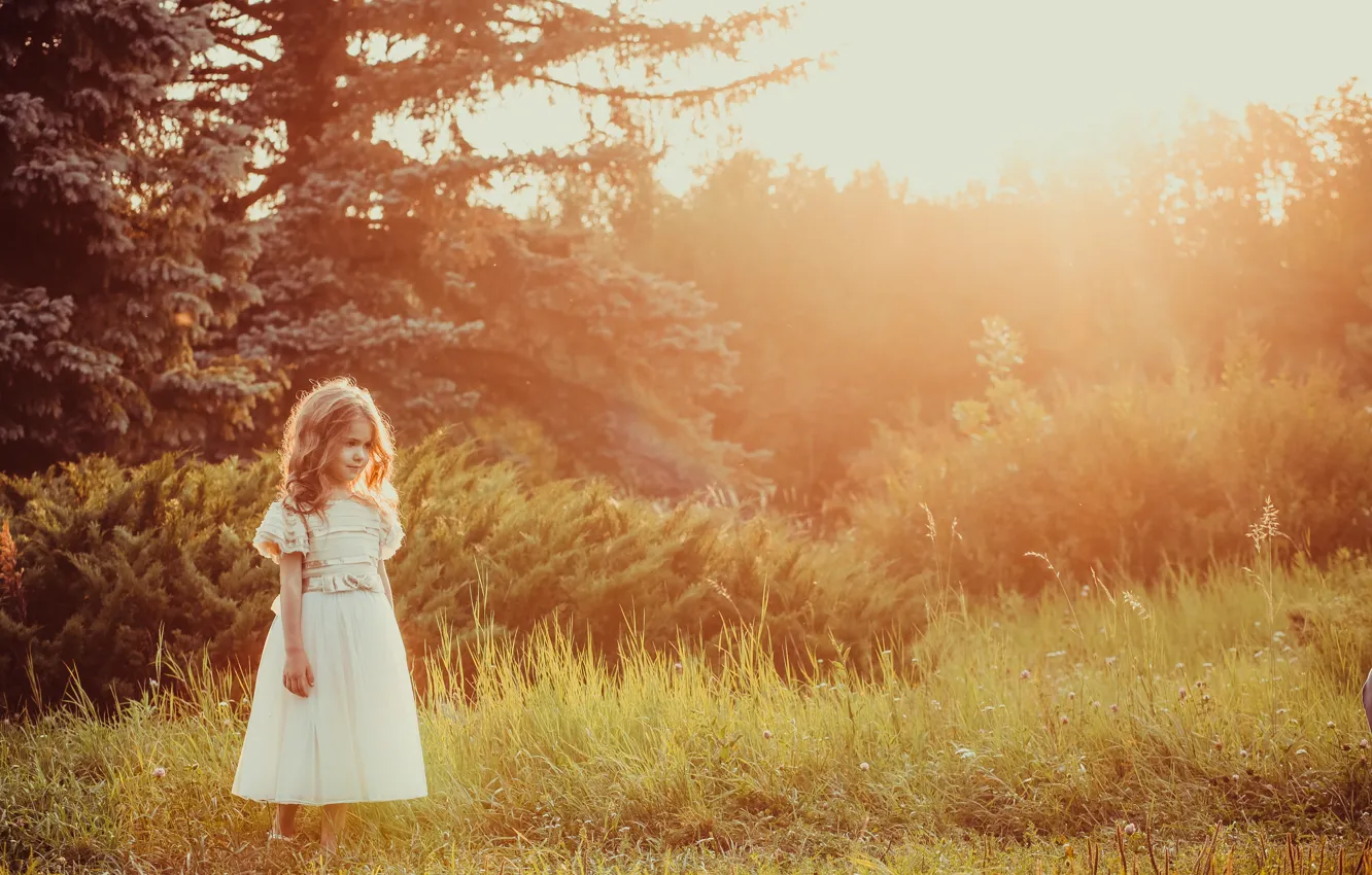 Фото обои лес, трава, закат, маленький, девочка, малышка