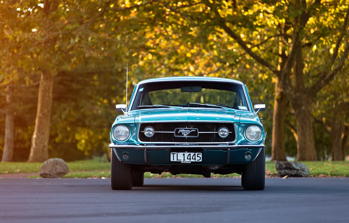 Фото обои знак, Mustang, Ford, перед, 1967, Fastback