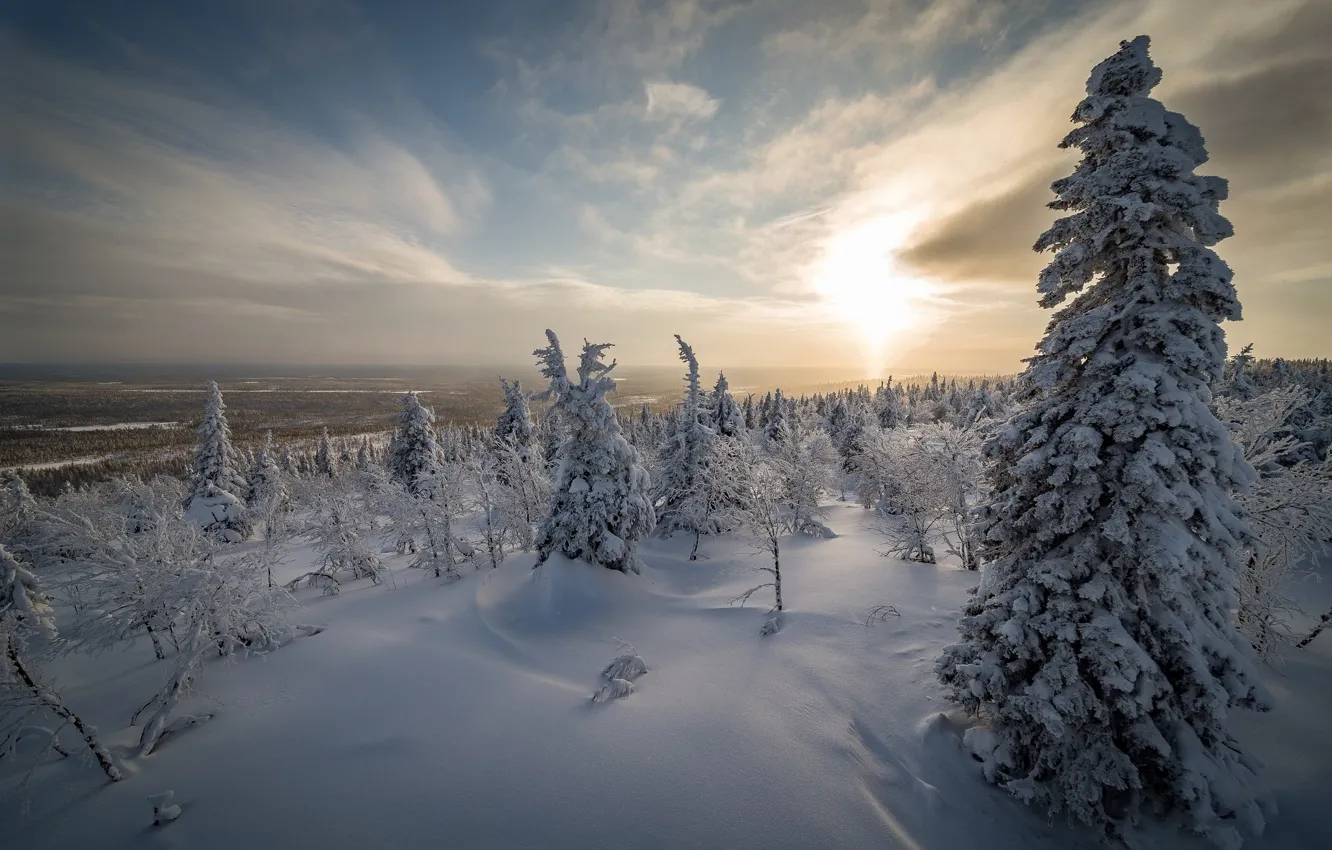 Фото обои зима, снег, деревья, природа, Финляндия