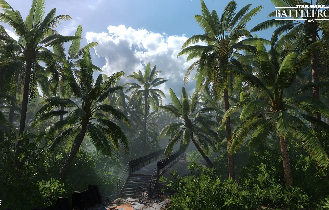 Фото обои лес, мост, пальмы, Star Wars Battlefront, Scarif Vegetation