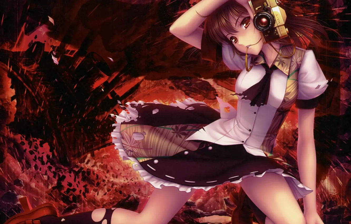 Фото обои девушка, крылья, аниме, арт, фотоаппарат, touhou, shameimaru aya