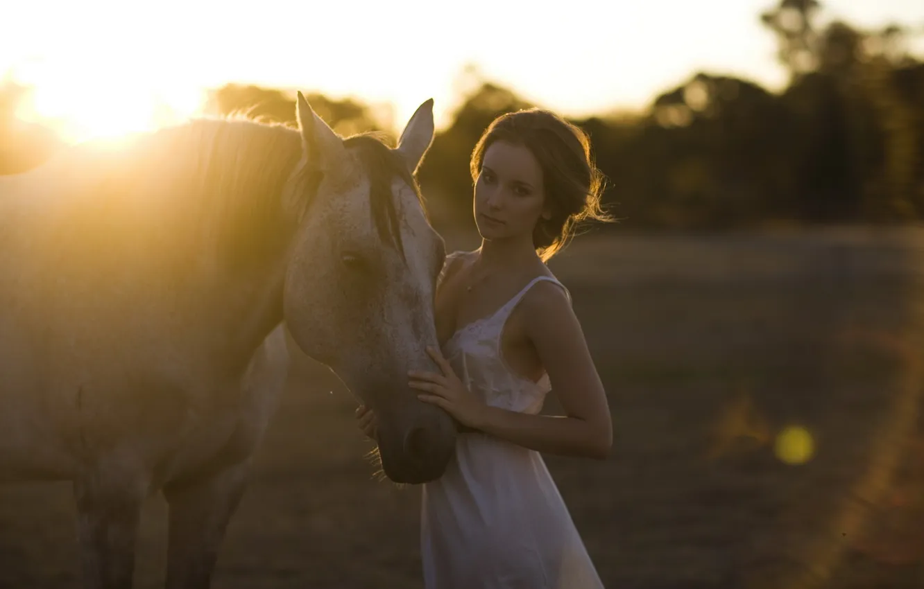 Фото обои девушка, свет, закат, конь