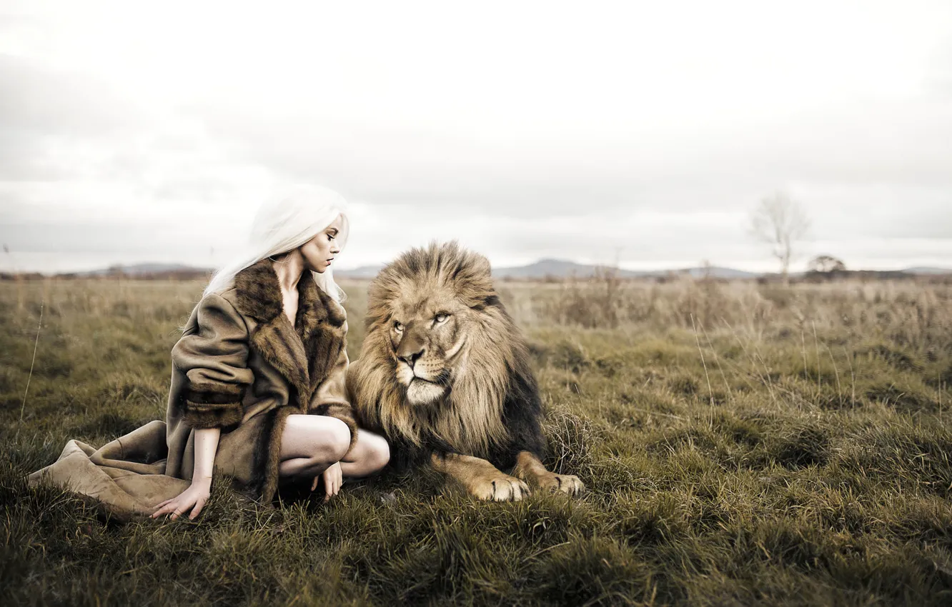 Фото обои девушка, лев, зверь