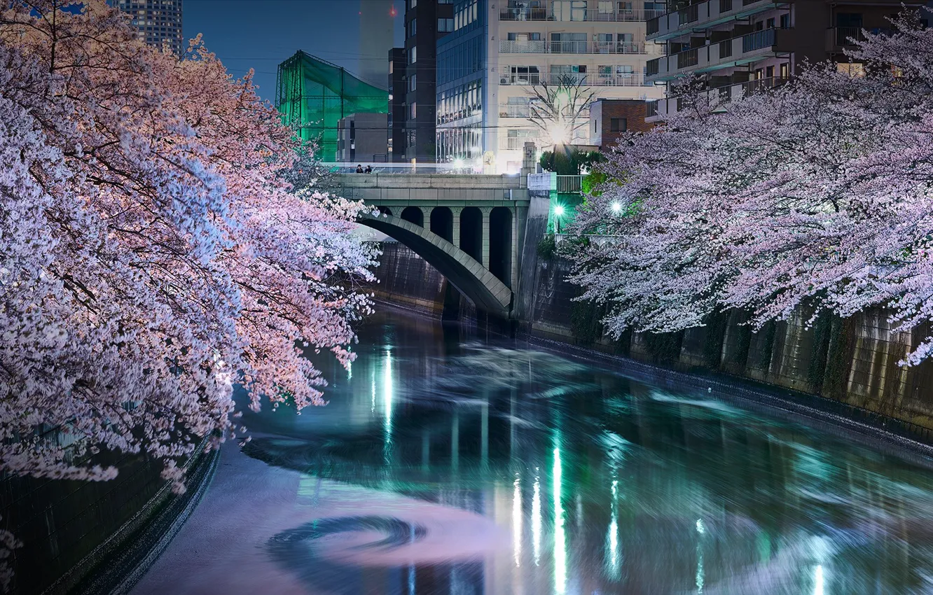 Фото обои мост, канал, Tokyo, Japan, цветение сакуры, Meguro