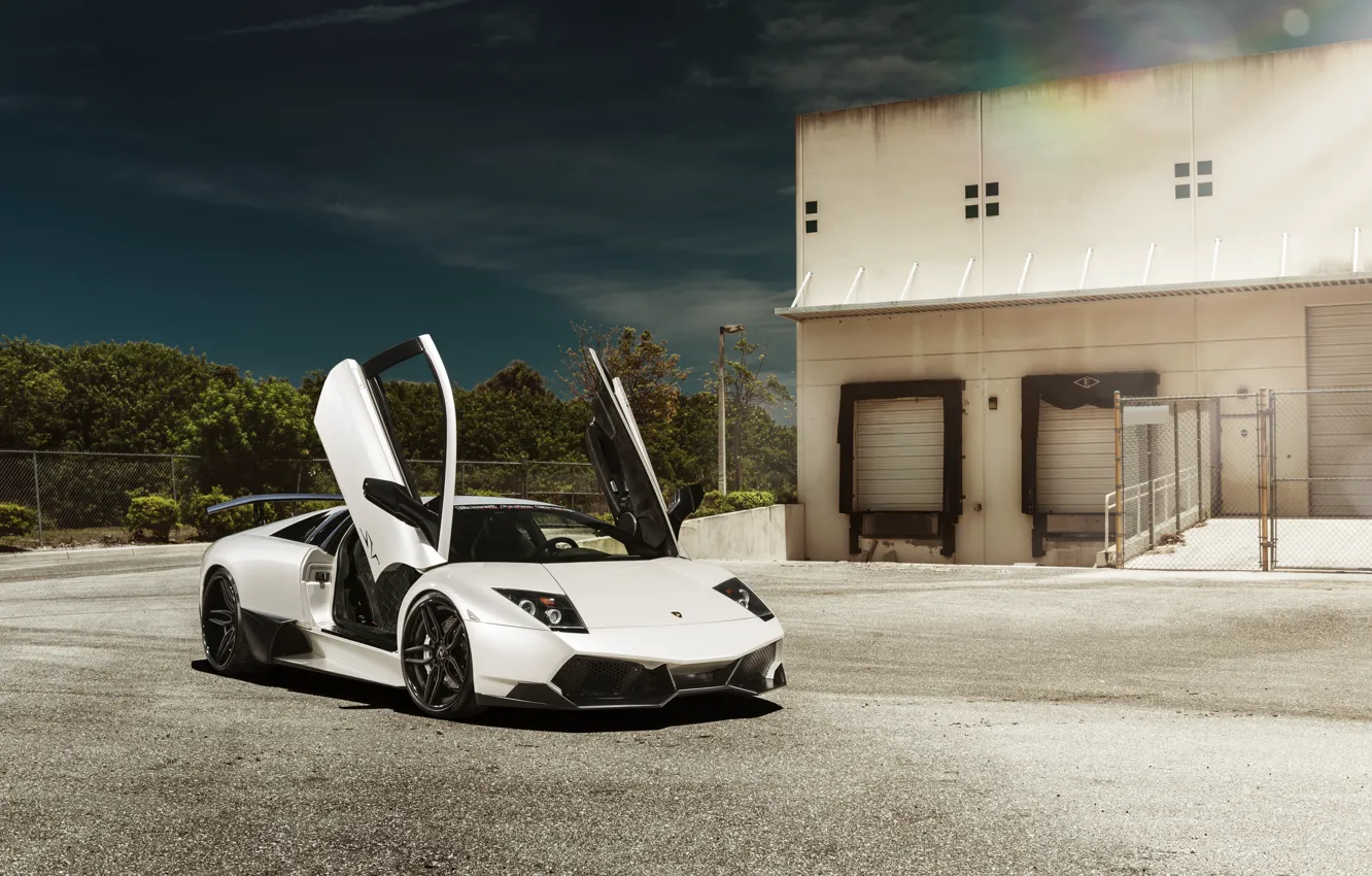 Фото обои Lamborghini, белая, white, ламборджини, Murcielago, мурселаго