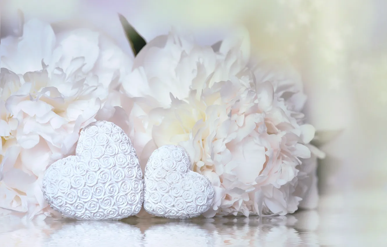 Фото обои Цветы, Сердечки, Пара, Праздник, День святого Валентина, Пионы