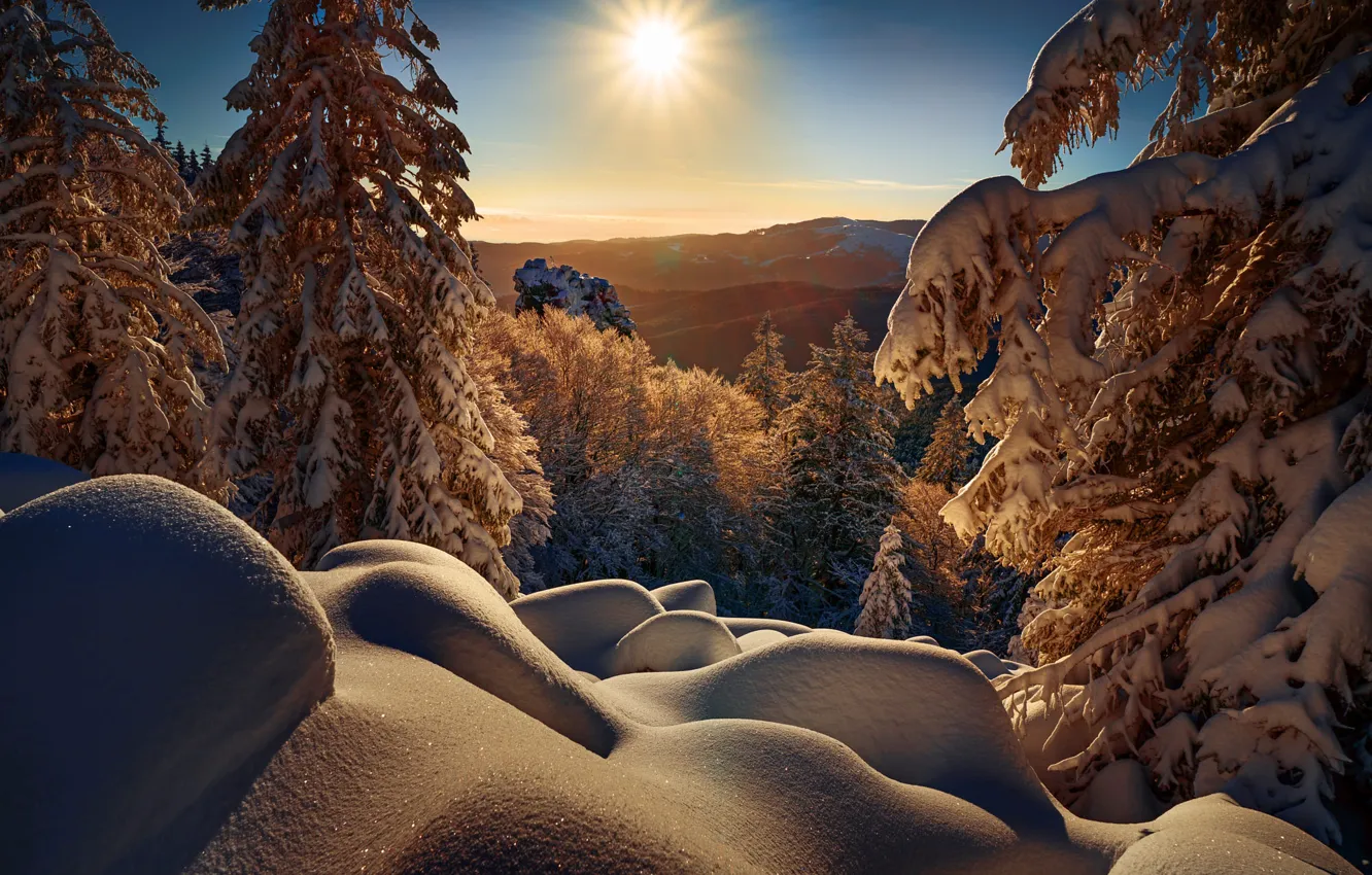 Фото обои зима, солнце, лучи, снег, деревья, пейзаж, горы, природа