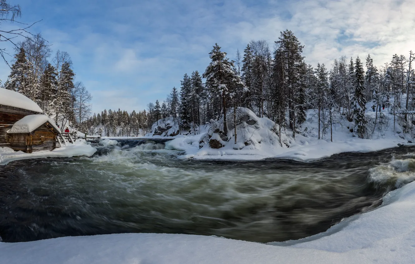 Фото обои зима, лес, река
