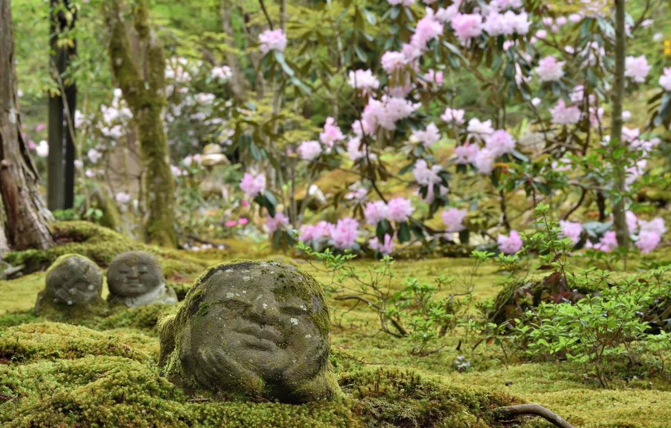 Фото обои Цветы, Природа, Япония, Сад, Камни, Мох, Скульптура