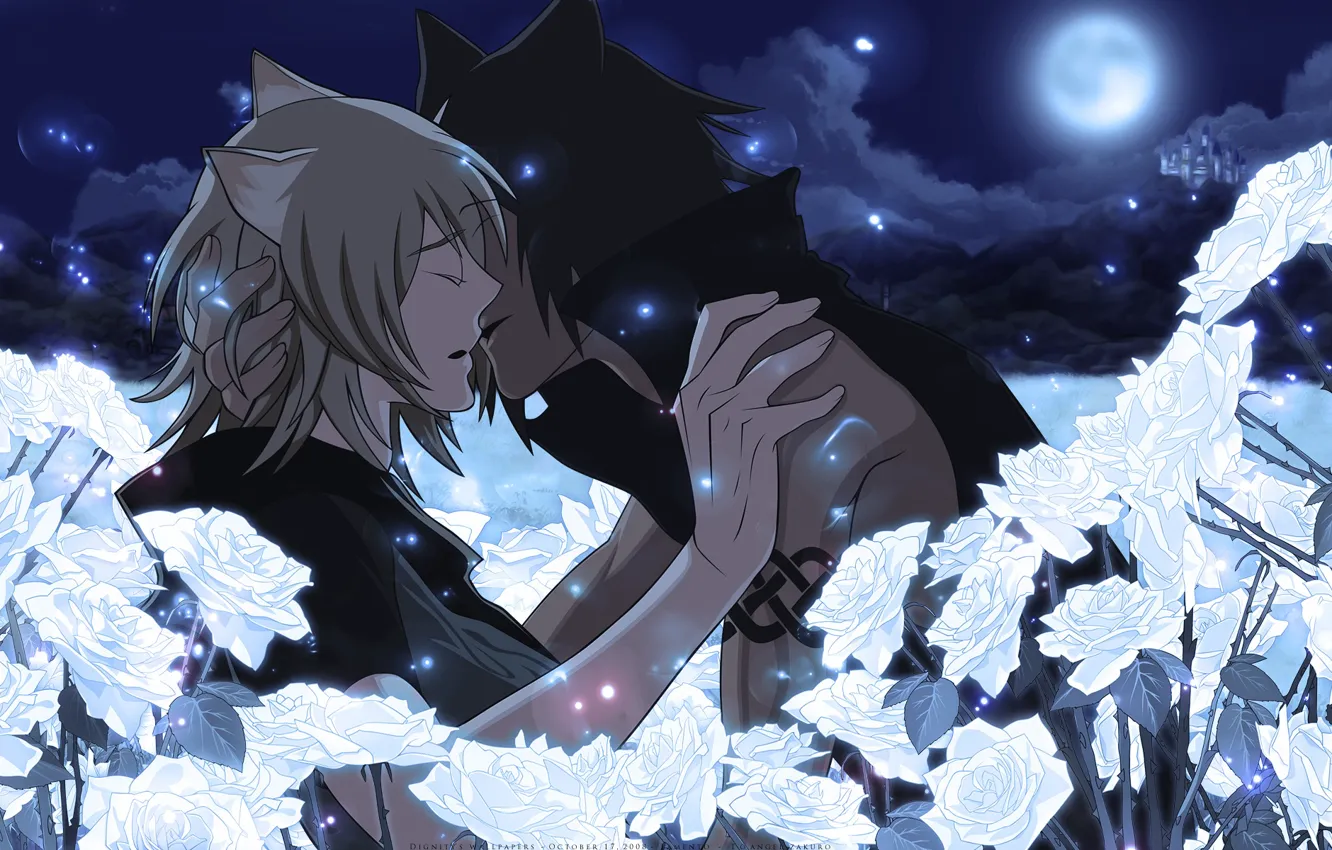 Фото обои полнолуние, белые розы, два парня, visual novel, почти поцелуй, lamento, konoe, asato