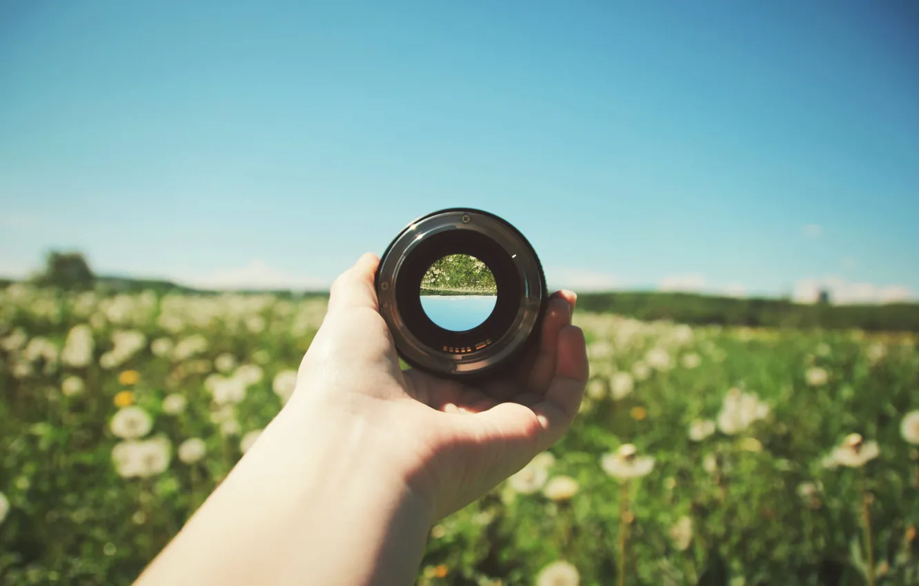 Фото обои field, flowers, reflection, hand, lens, sunny