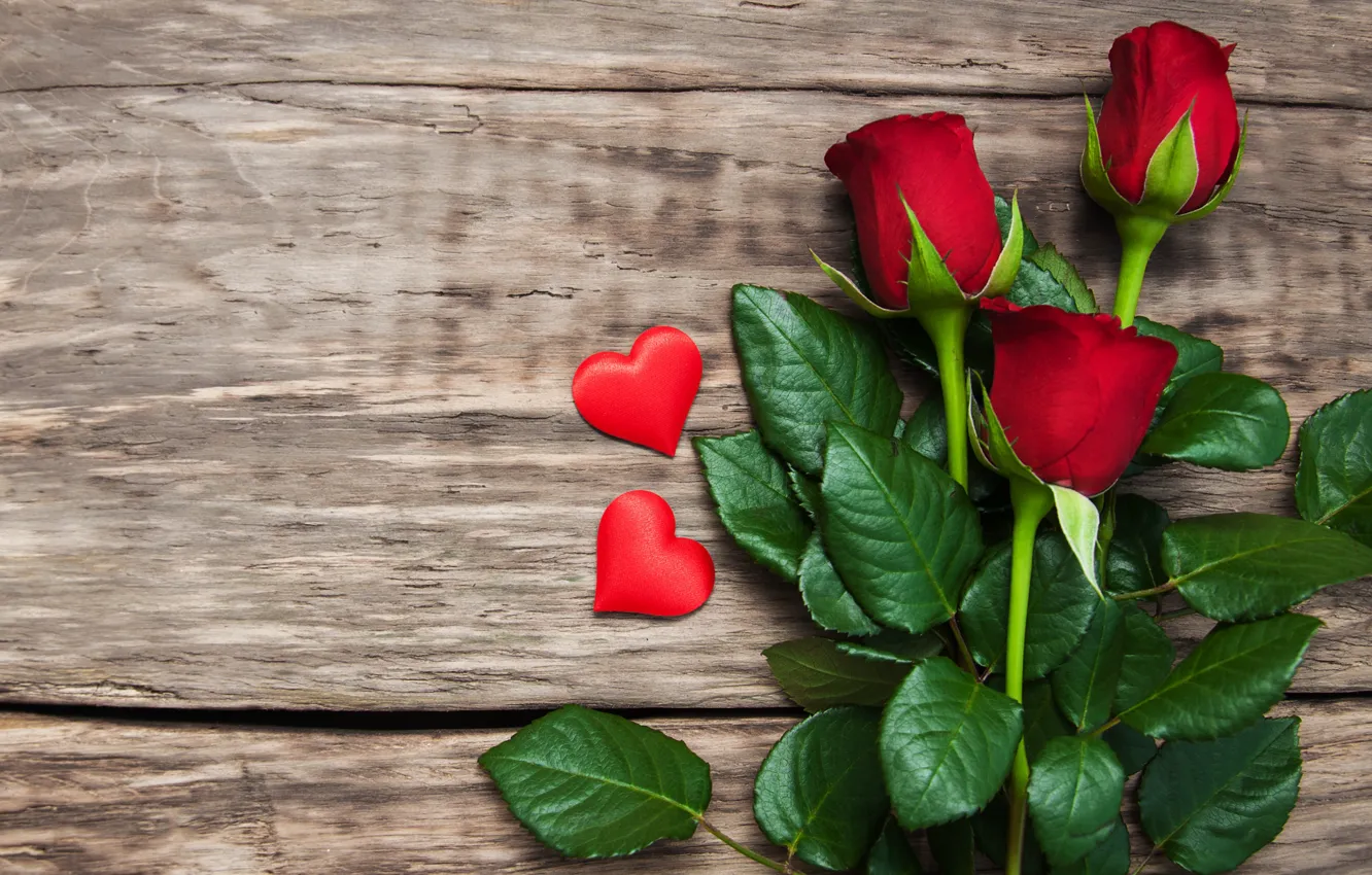 Фото обои любовь, розы, сердечки, красные, red, love, romantic, hearts