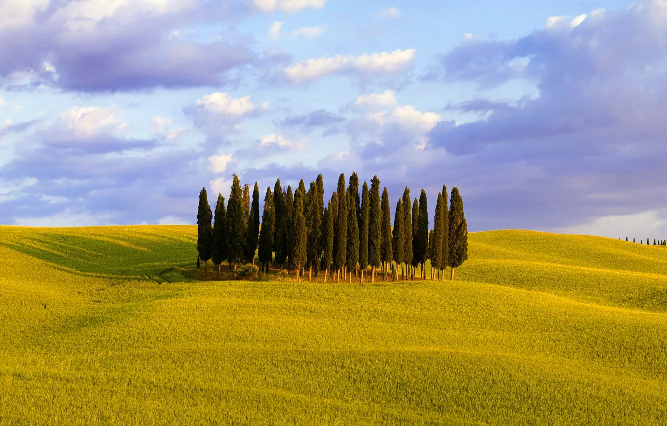 Фото обои небо, трава, облака, деревья, холмы, италия