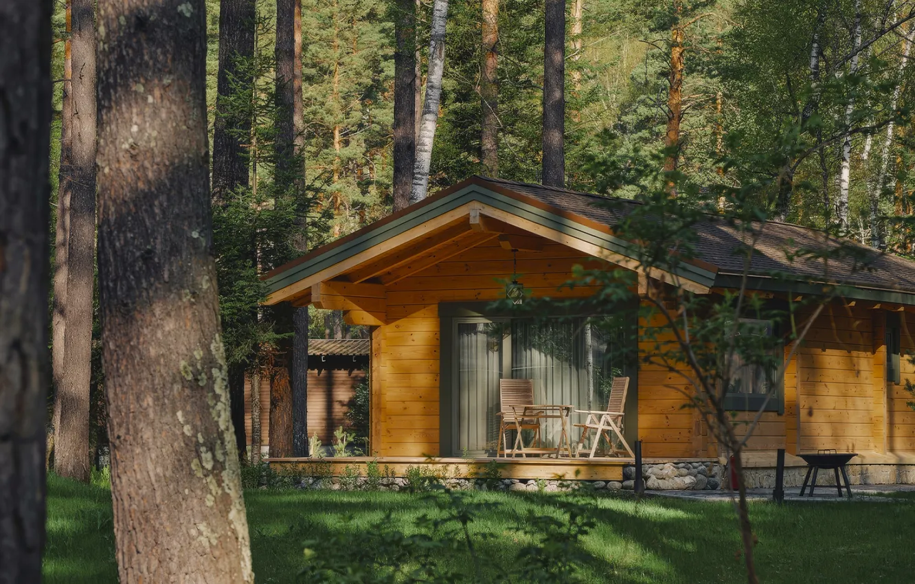 Фото обои лес, природа, дома, house, forest, nature