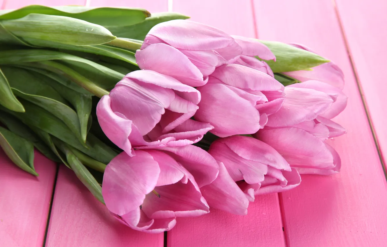 Фото обои цветы, букет, тюльпаны, wood, pink, flowers, tulips, spring
