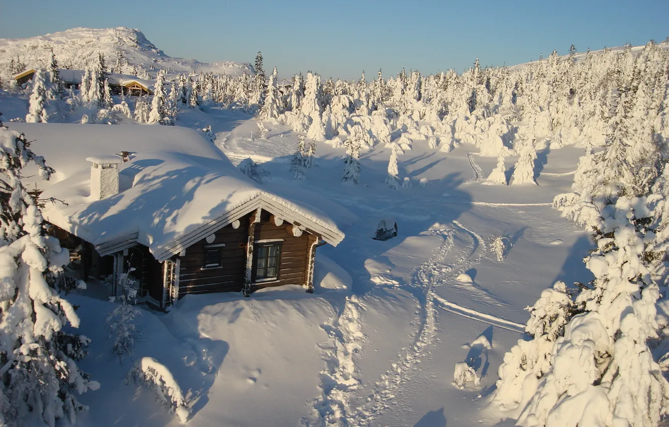 Фото обои зима, снег, деревья, природа, дом