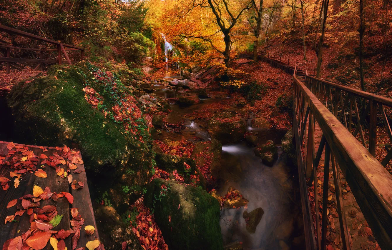 Фото обои осень, лес, листья, деревья, водопад, Россия, мостик, Крым
