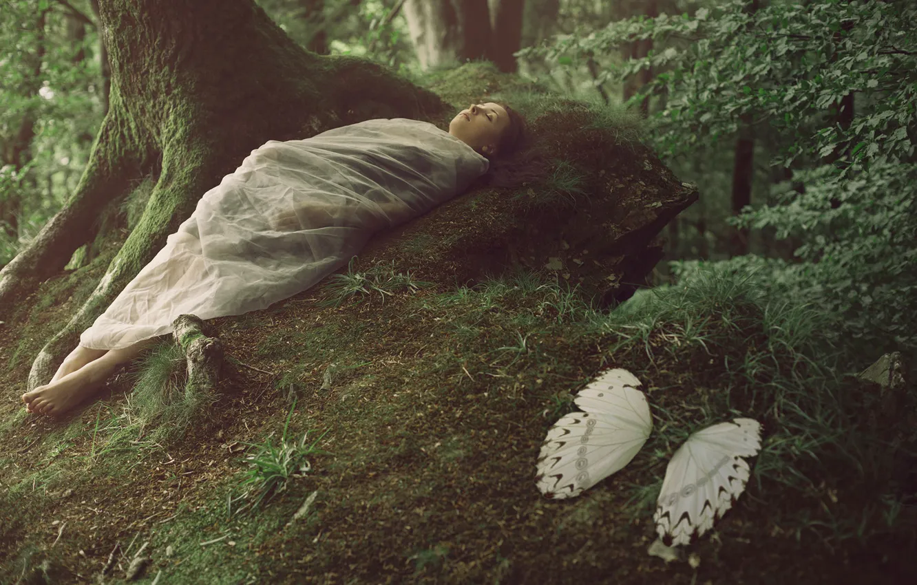 Фото обои лес, девушка, фантазия, крылья, кокон