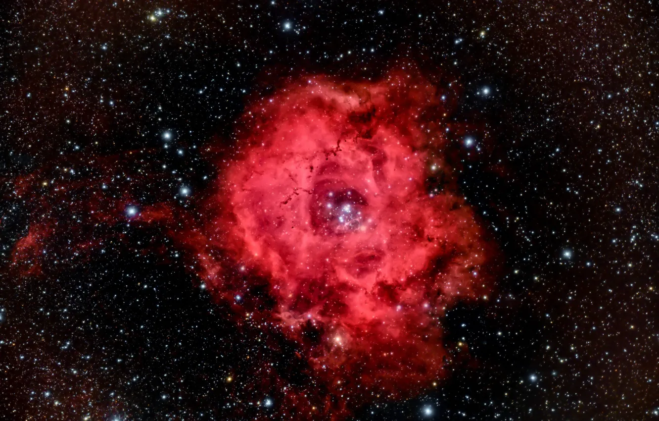 Фото обои космос, звезды, Rosette Nebula