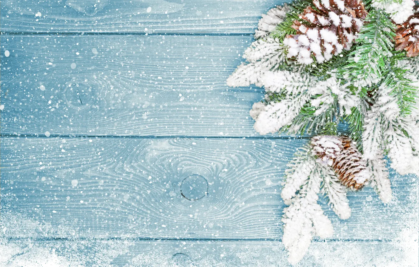 Фото обои зима, снег, елка, Новый Год, Рождество, Christmas, шишки, wood